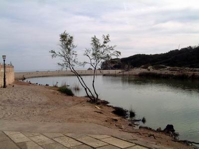 DSCF0032b.JPG